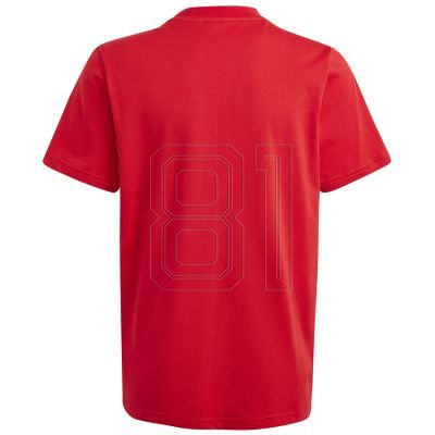 6. adidas Big Logo Tee Jr IJ6262