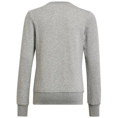 7. Adidas Big Logo Swt Jr HM8706 Sweatshirt