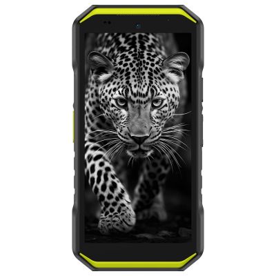 2. Ulefone Armor X32 6/128GB Vivid Green