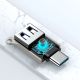3. Joyroom S-H151 USB-C (männlich) / USB-A (weiblich) Adapter mit Lanyard-Öse – Silber