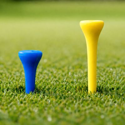 9. Tee - Ständer für Golfbälle PGT 10 Stk.