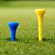 9. Tee - Ständer für Golfbälle PGT 10 Stk.