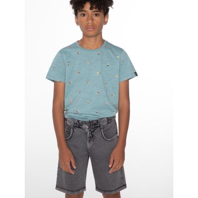 Jungen-Jogging-Shorts Junior PROTEST Orlin, grau