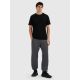 Herren-Jogginghose 4F 4FRMM00TTROM1625-23M