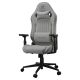 COUGAR CGR-EPF-ROA Universeller Gaming-Stuhl Grau