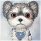 8. Nimmy Big Eyed Pet 2.0 Hundehülle für iPhone 17 - Grau