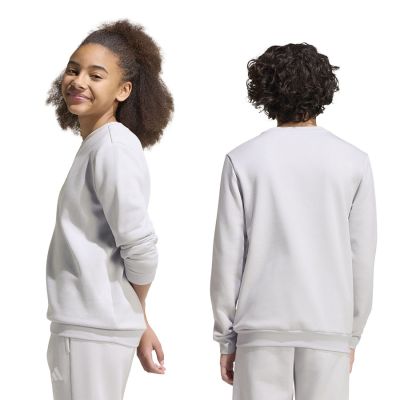 2. adidas Entrada 26 Sweatshirt für Kinder, grau, JZ6551