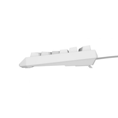 7. GENESIS Thor 230 TKL USB + RF QWERTY-Tastatur