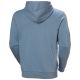 6. Helly Hansen Herren CORE HOODIE 54525 601