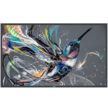 Philips 32BDL3511Q/00 Digital Signage Display, 81,3 cm (32 Zoll), 350 cd/m² Full HD, Schwarzweiß, 18/7