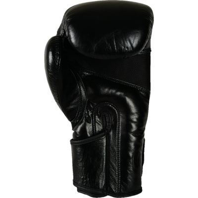 5. RBT-GLADIATOR Boxhandschuhe