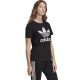 12. adidas Trefoil Tee W FM3311