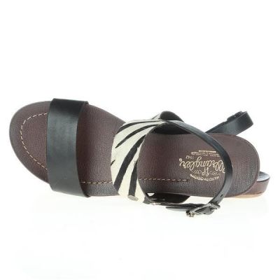 4. Wrangler Lola Safari WL141652-62