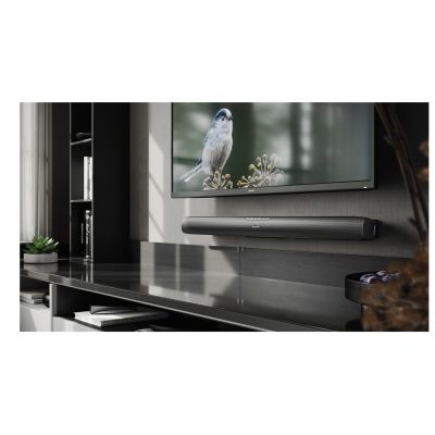 8. Sharp HT-SB100 Lautsprechermodul Schwarz 2.0-Kanal 75 W