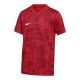 Nike Dri-Fit Precision VII T-Shirt FZ9332-100
