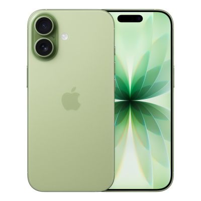 Apple iPhone 17, 16 cm (6,3 Zoll), Dual-SIM, iOS 26, 5G, USB Typ-C, 512 GB, Salbeigrün