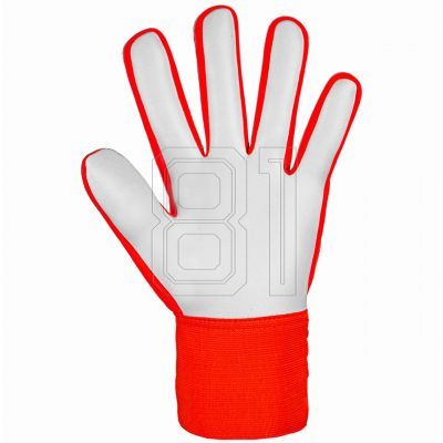 4. Reusch Attrakt Starter Solid Jr 5472514 2210 Torwarthandschuhe