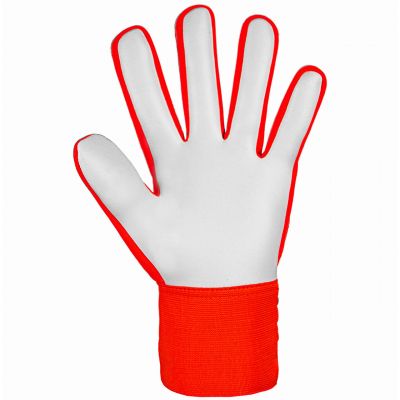 4. Reusch Attrakt Starter Solid Jr 5472514 2210 Torwarthandschuhe