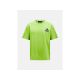 Peak Performance M Graphic Tee Grün