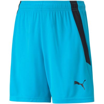 3. Puma teamLIGA Shorts Jr 704931 40