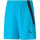 3. Puma teamLIGA Shorts Jr 704931 40