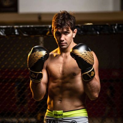 27. 8oz Boxhandschuhe - Hawk - Origin Series