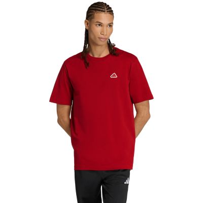 Herren-T-Shirt adidas Color Icon Graphic rot KT4444