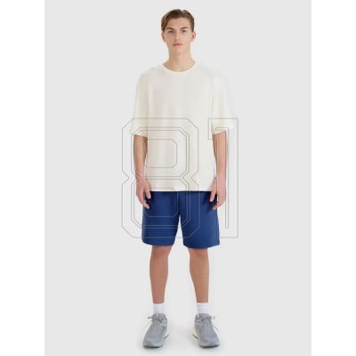 6. Shorts 4F M 4FWMM00TSHOM543-031S