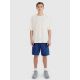 6. Shorts 4F M 4FWMM00TSHOM543-031S