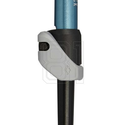 5. Black Diamond Trail Back Burnt Sienna Trekking Poles