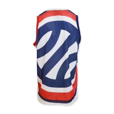 2. Air Jordan x France Jumpman Jersey - CT2187-100