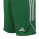 4. adidas Tiro 23 League Jr IB8096 Shorts