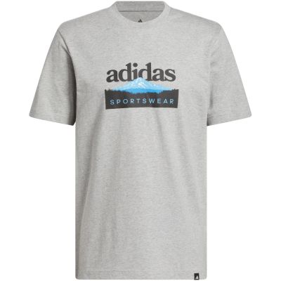 2. adidas Sportsman Mountain Graphic Herren-T-Shirt Hellgrau KC9253