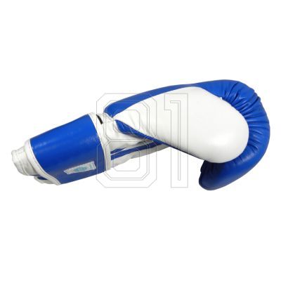 12. MASTERS RBT-TRW 01210-02 Leder-Boxhandschuhe
