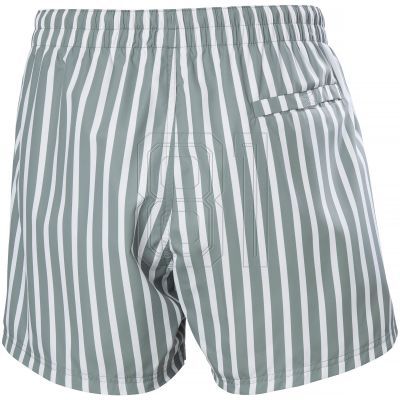 2. Helly Hansen Newport Trunk Badeshorts M 34296 485