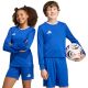 adidas Entrada 26 Long Sleeve Jersey Kindertrikot, blau, KF5886