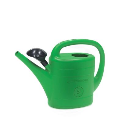 3. SPRING GREEN WASSERKANN 5L