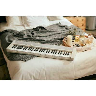 5. CASIO CT-S1 WE – Keyboard