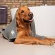 6. Vileda PET PRO M Mikrofaserhandtuch für Tiere