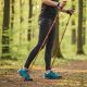 12. NORDIC WALKING TRIP STOCKS IM ENERO PRO KOFFER