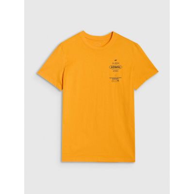 2. Herren T-Shirt mit normalem Aufdruck 4F 4FRSS25TTSHM2688-70S