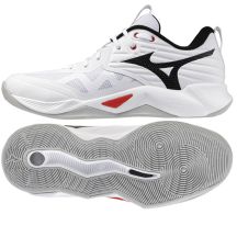 Mizuno WAVE MOMENTUM PRO V1GA254059 Schuhe