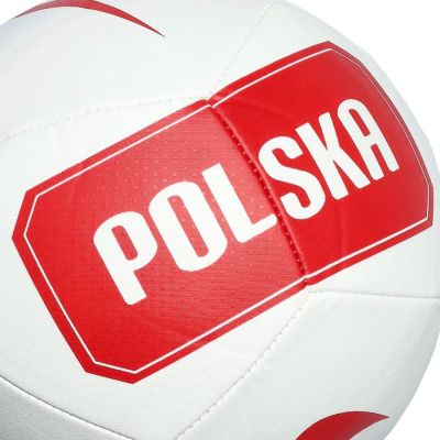 3. Nike Polen Mini-Ball IQ7545-100