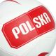 3. Nike Polen Mini-Ball IQ7545-100