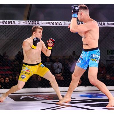 55. MMA-Sparringhandschuhe S/M - Phantom Red - Valor Series