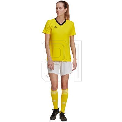 12. adidas Entrada 22 Trikot W HI2125