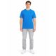 3. Herren-T-Shirt mit Aufdruck 4F 4FWAW26TTSHM3578-33S