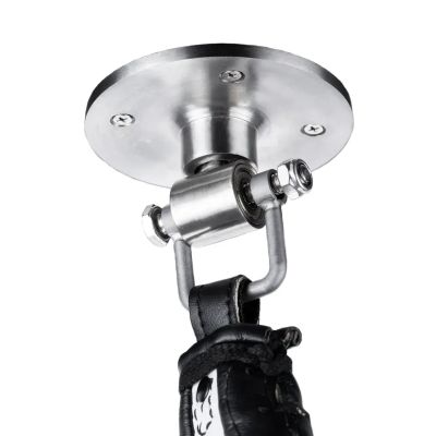 10. Boxplattform + Birne DBX BUSHIDO DBX-P-11