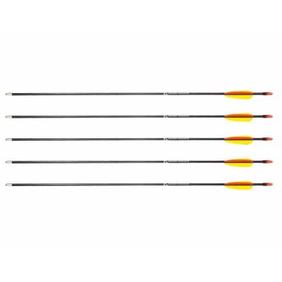 3. Poe Lang 28" Fiberglaspfeile - 5er-Set (D-055-B3)