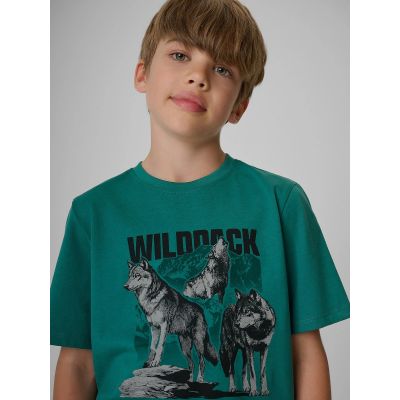 3. Normales bedrucktes Jungen-T-Shirt 4F 4FJKAW26TTSHM4455-46S